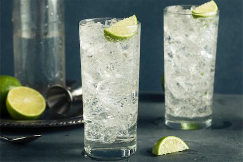 Elegant vodka tonic with citrus garnish